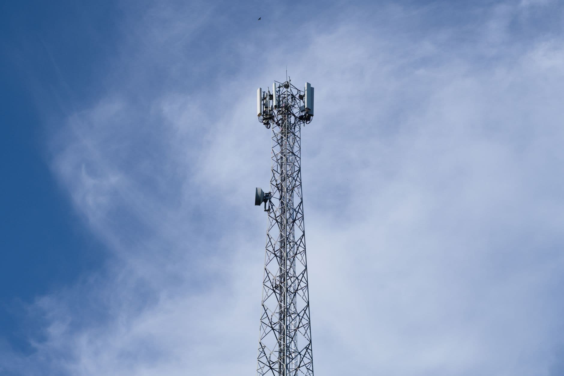 India Mandates Caller ID Companies to Share Spam Report Data with Telecom Operators