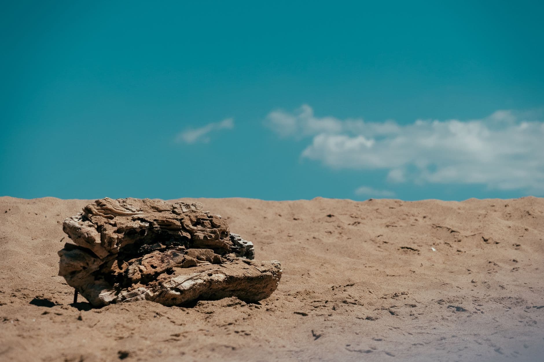 Docker Launches Cloud Sandboxes for AI Coding Agents